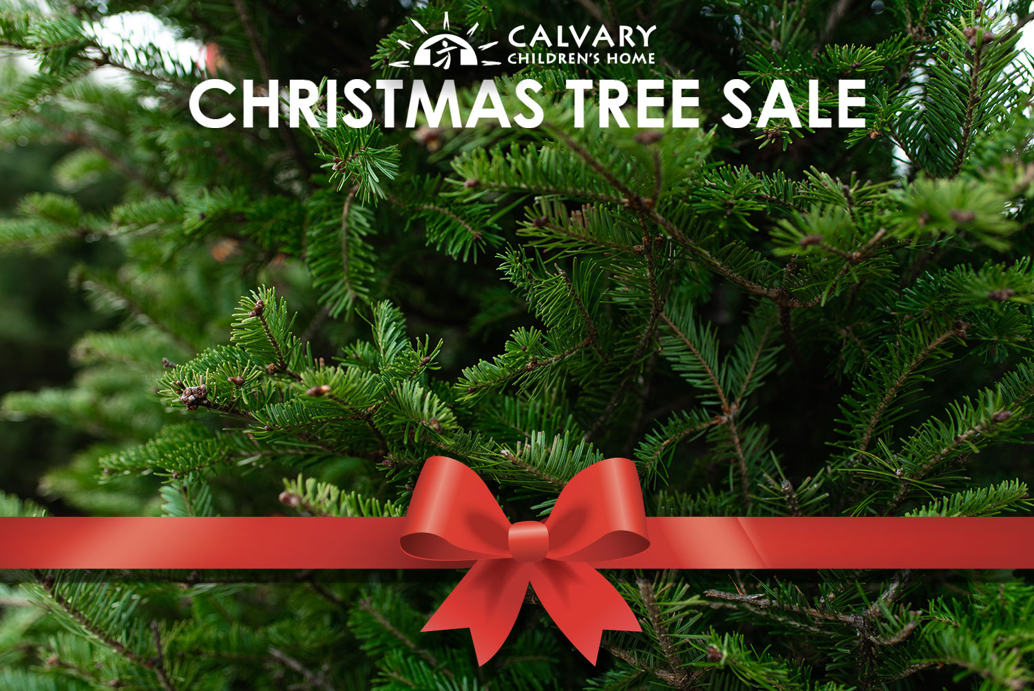 18th Annual Christmas Tree Sale Calvary Children's Home